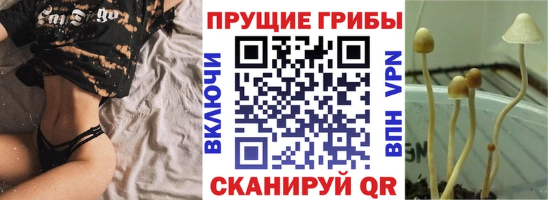 нарко площадка официальный сайт  Абинск  Псилоцибиновые грибы мухоморы  продажа наркотиков 