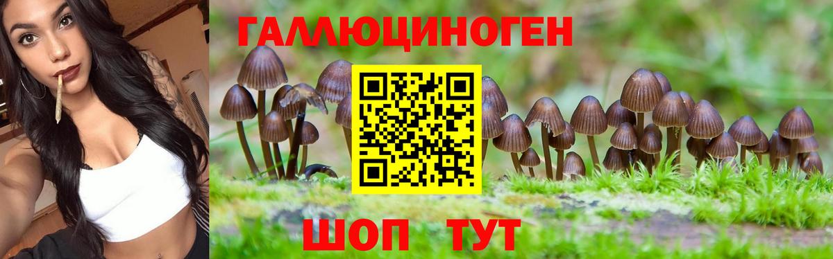 Псилоцибиновые грибы Абинск