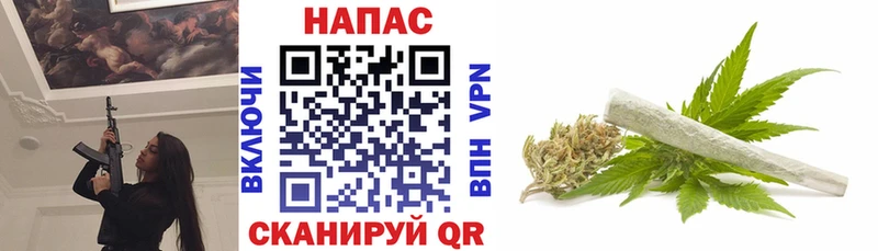 Бошки марихуана сатива  Абинск 